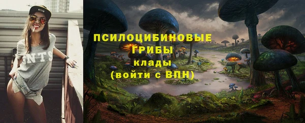 марки lsd Алзамай