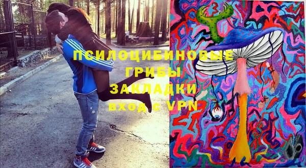 тгк Аркадак
