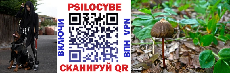 сколько стоит  Кыштым  Псилоцибиновые грибы MAGIC MUSHROOMS 