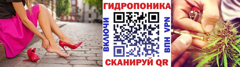 где купить   Кыштым  Канабис планчик 